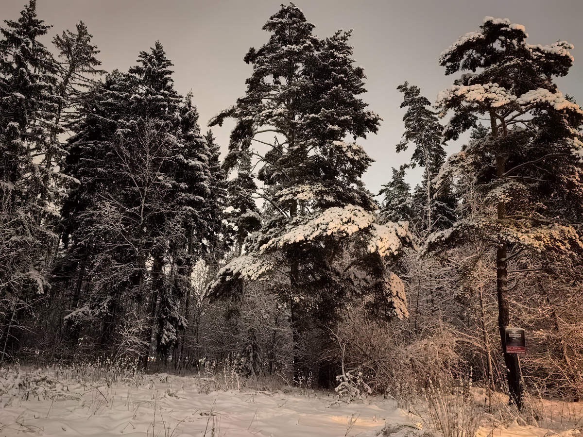 Это метров 50 от жилых домов