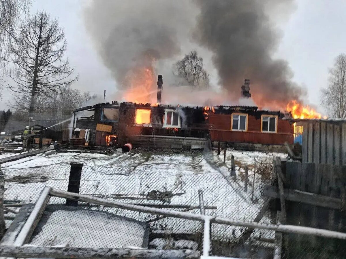    Фото: Госкомитет Карелии по ОЖ и БН