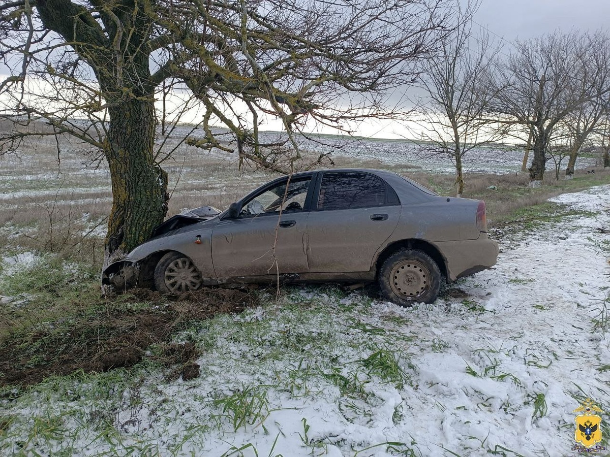    Фото: ГУ МВД России по Херсонской области