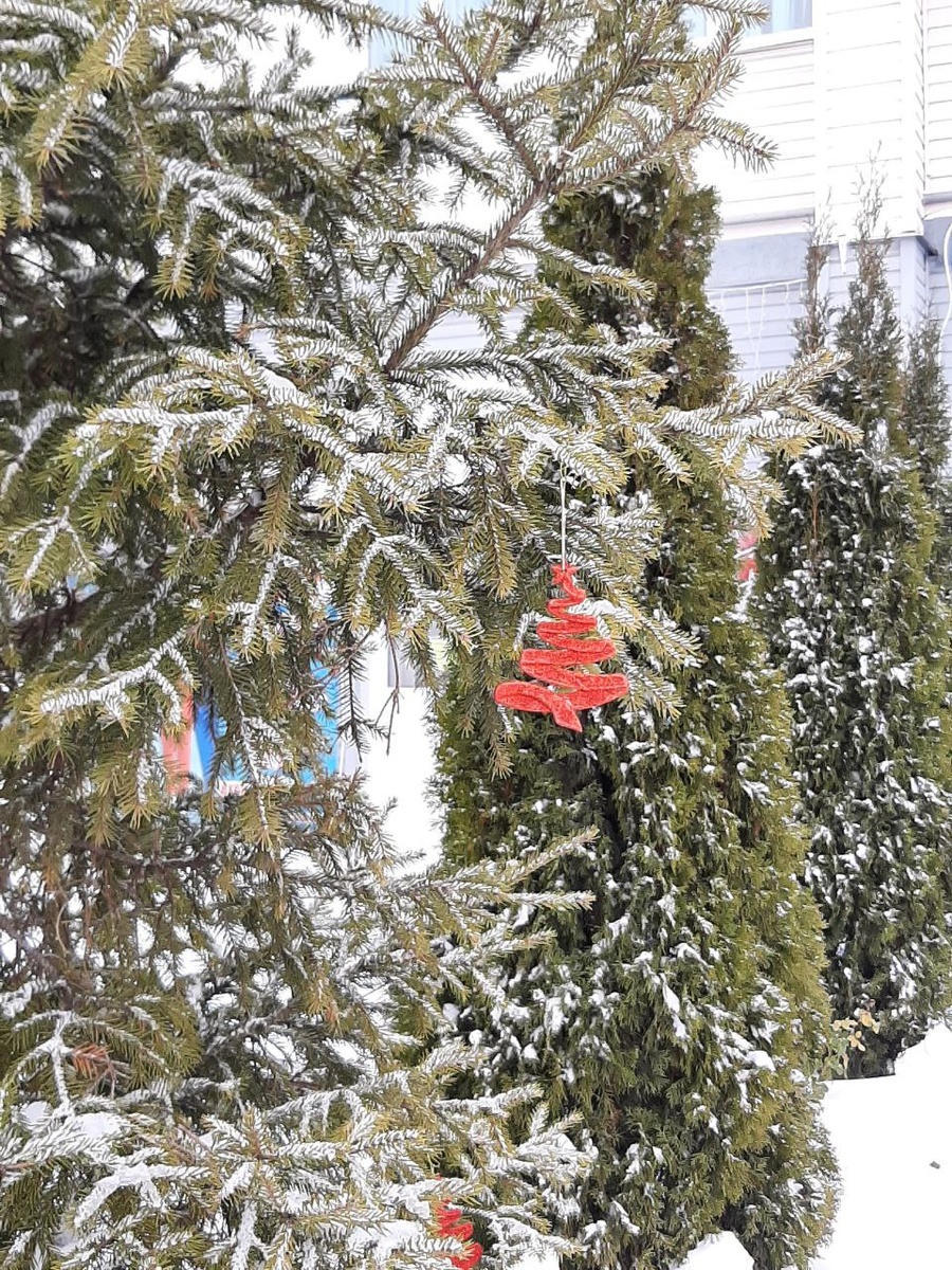 Возле дома кто-то украсил елочку. Фото автора