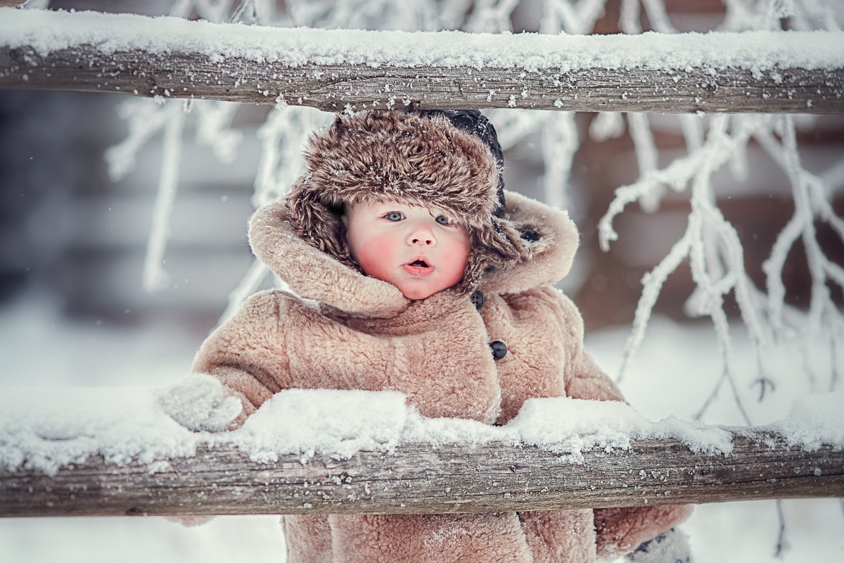    Фото: Muksimova Irina / Shutterstock.com