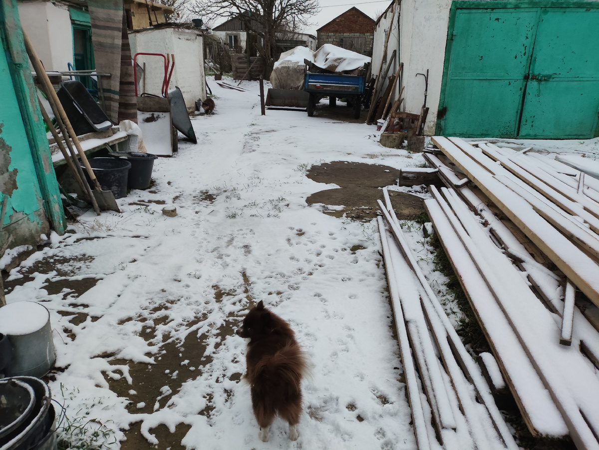 И тут проплешины появились