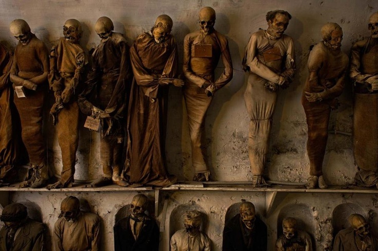 Фото взято с просторов интернета