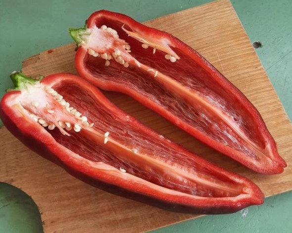 Лучшие сорта перца для салата, фарширования, лечо