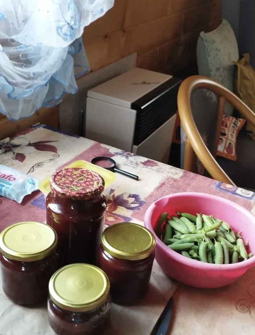 Газовый конвектор 