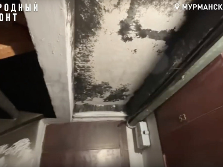     фото: страница «ВКонтакте» Народного фронта.