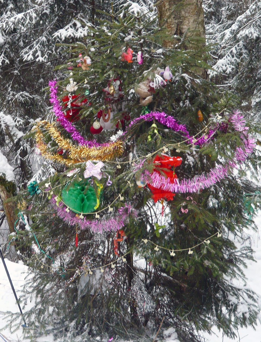 Фото из архива редакции