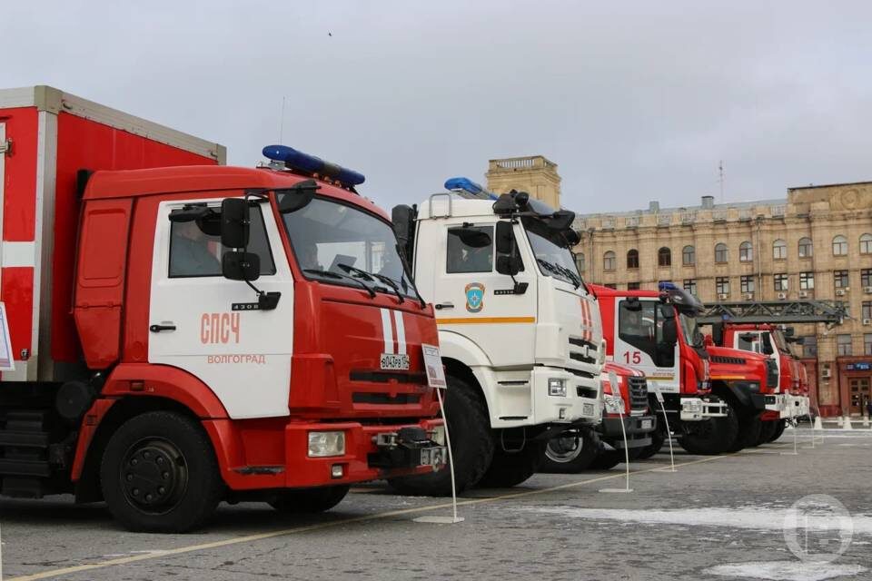    Фото: Матвей Горбунов / "Городские вести"