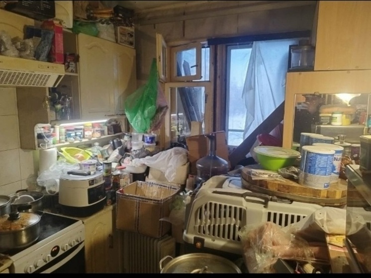     Фото: служба спасения животных «Легион».