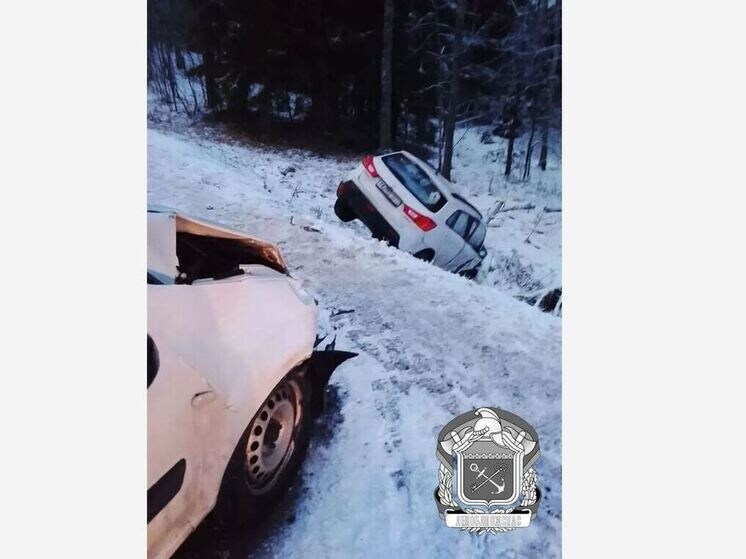     Фото: пресс-служба ГКУ «Леноблпожспас».