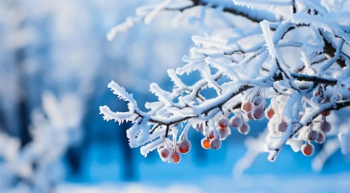 Для обложки