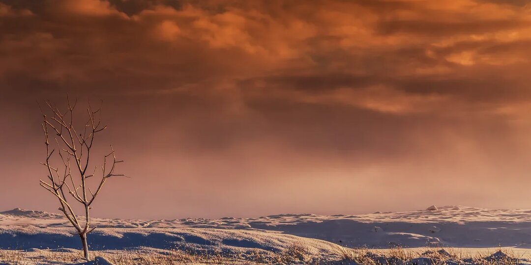 Астропрогноз на воскресенье 28 декабря 2025г