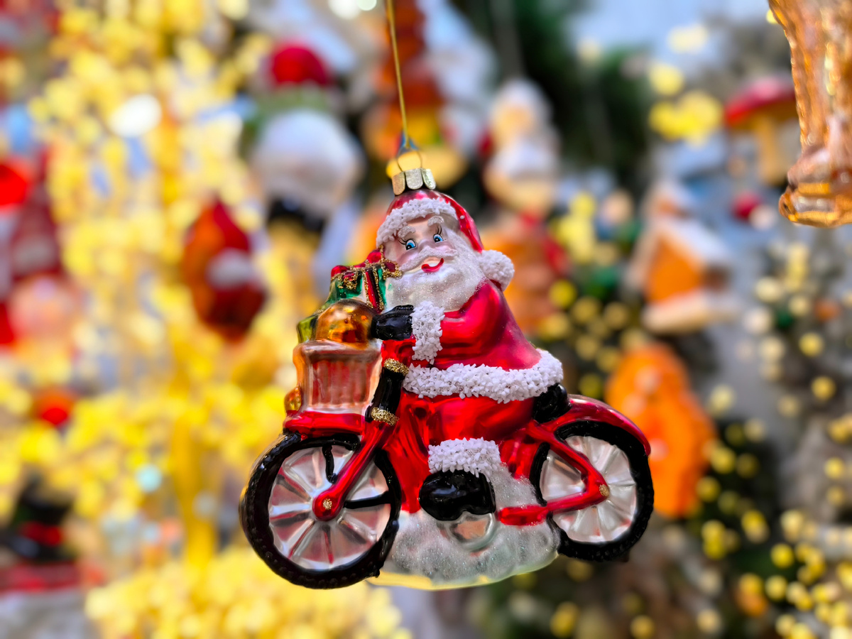 Все фото автора статьи.