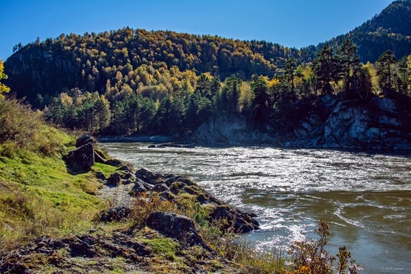 Золотая пора .. тепло и солнечно, сидишь на берегу, смотришь на блики на воде, слушаешь лёгкий шум реки и наслаждаешься ...   

Осень, Катунь, Алтай ...   

  