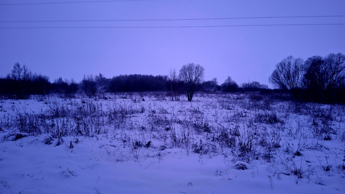 Дорога на Рыбинское