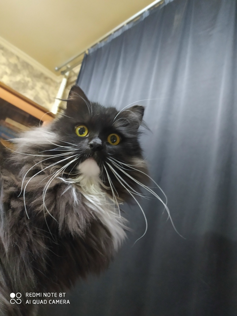 Фото предоставлено автором канала "Записки репетитора" как пример инфернального безумия