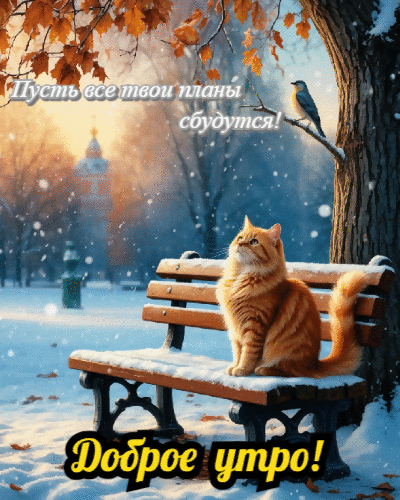 Пусть все твои планы сбудутся