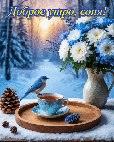 Доброе утро, соня