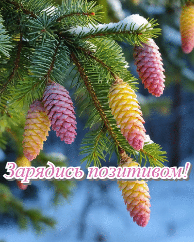 Зарядись позитивом