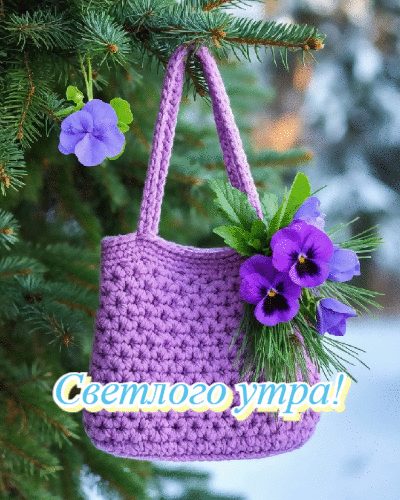 Светлого утра