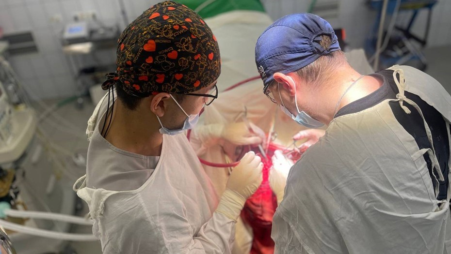 Автор фото: t.me/emergencypetersburg