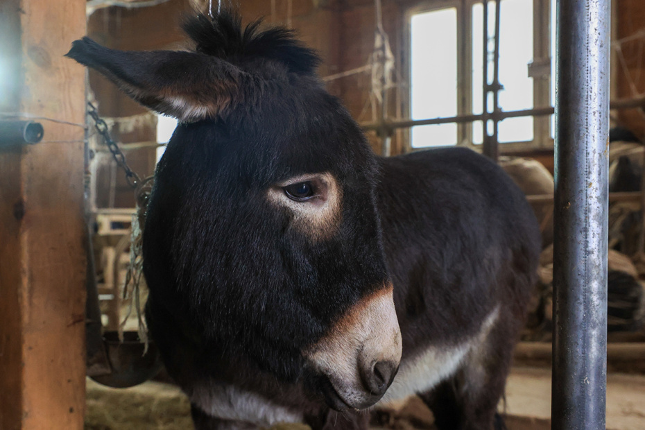    Наталья Шатохина/NEWS.ru