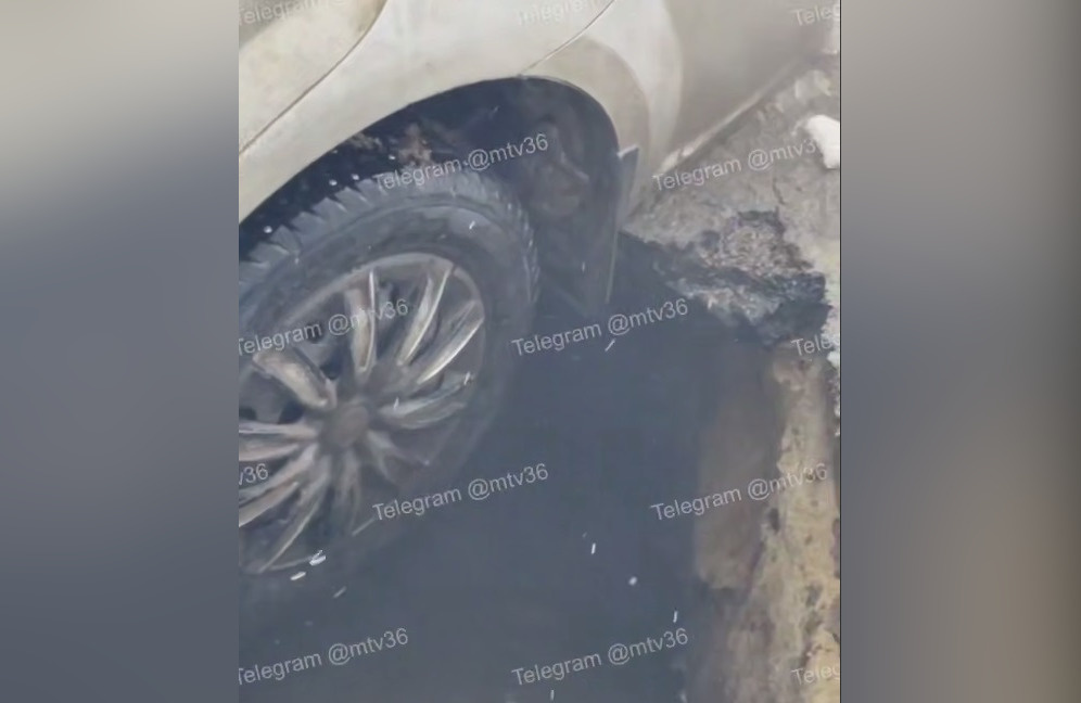     Фото: скрин видео