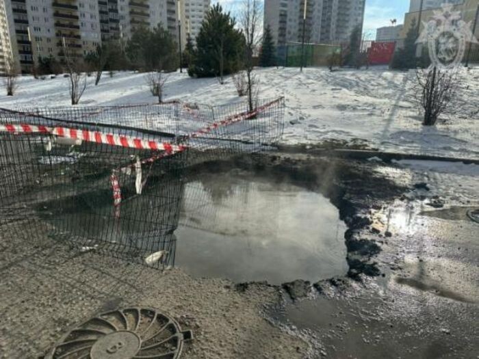 Иллюстрация: sledcom.ru