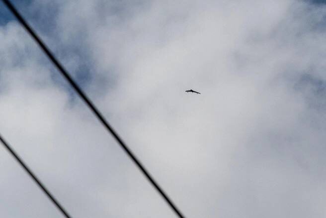    Источник: Михаил Огнев / FONTANKA.RU Редакция