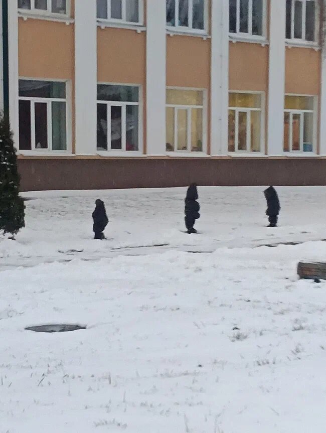 Издалека кажется, что по снежку гуляют укутанные малыши. А га самом деле - это укрытые на зиму маленькие деревца!)))