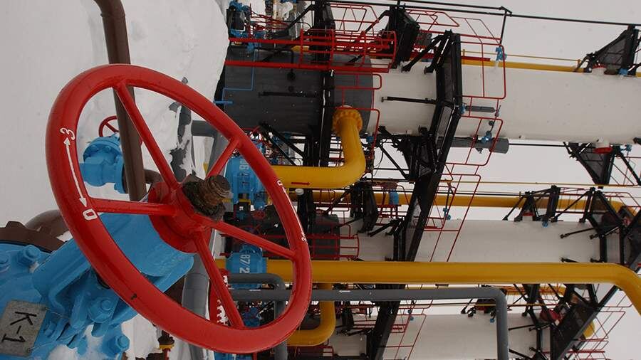    Фото: Global Look Press/Anton Kavashkin