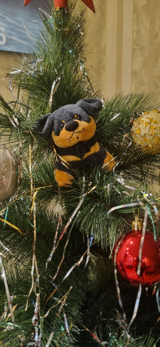 Моя любимая игрушка!