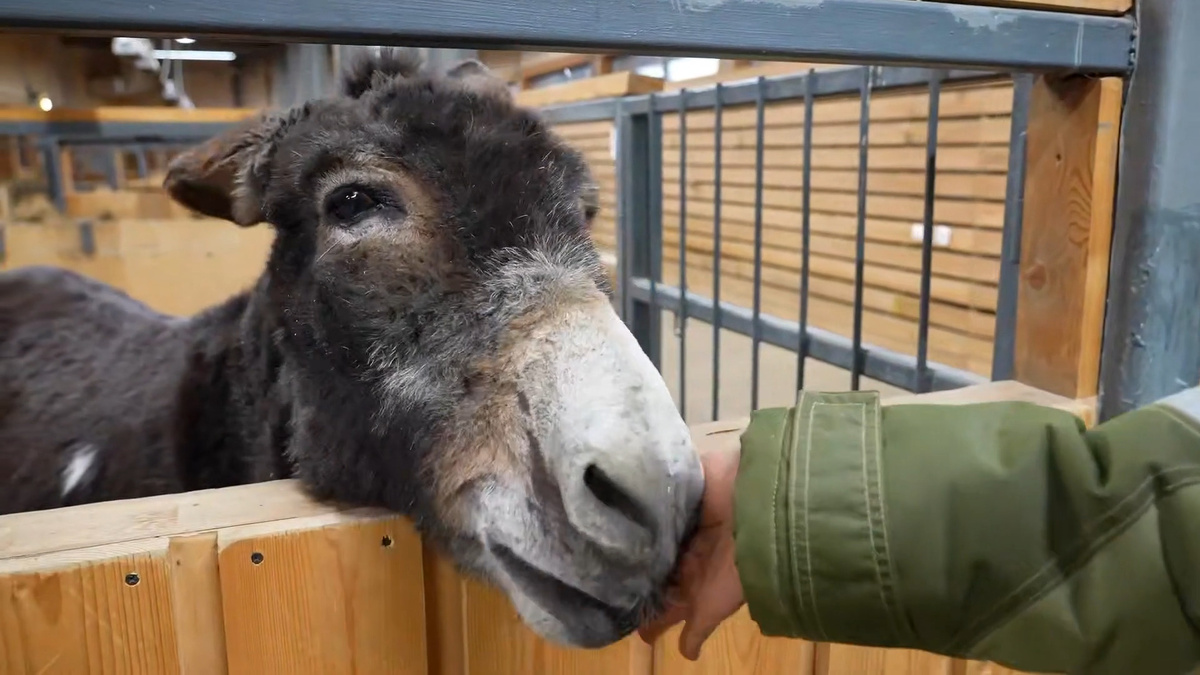    Первый канал