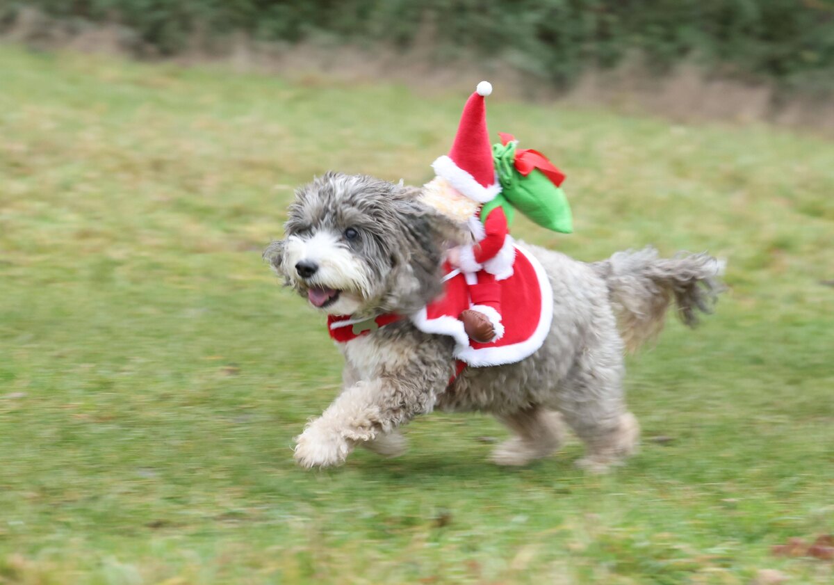    фото:Paul Marriott/Legion media