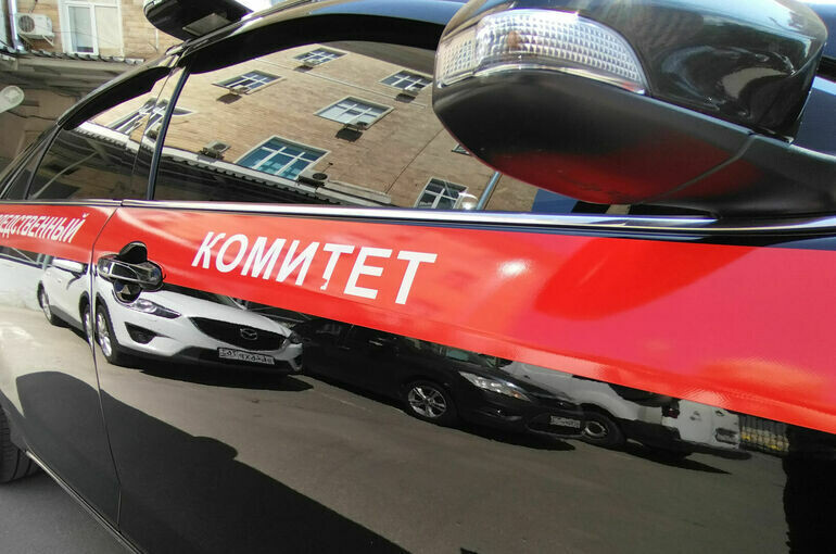   Алина Цыганова/«Парламентская газета»