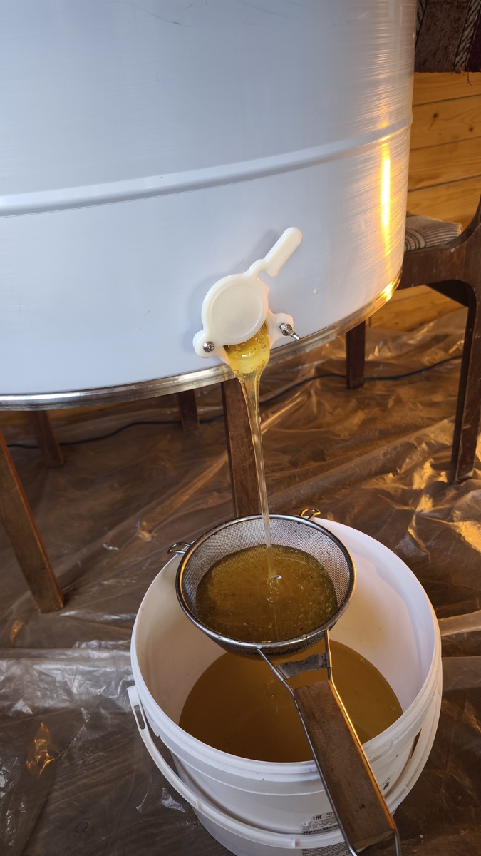 Устьянский мёд