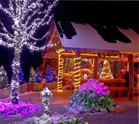 как весело встретить Новый год на даче