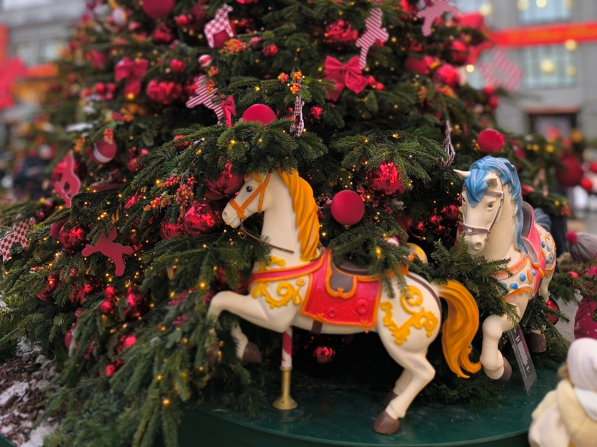 Все фото автора статьи.