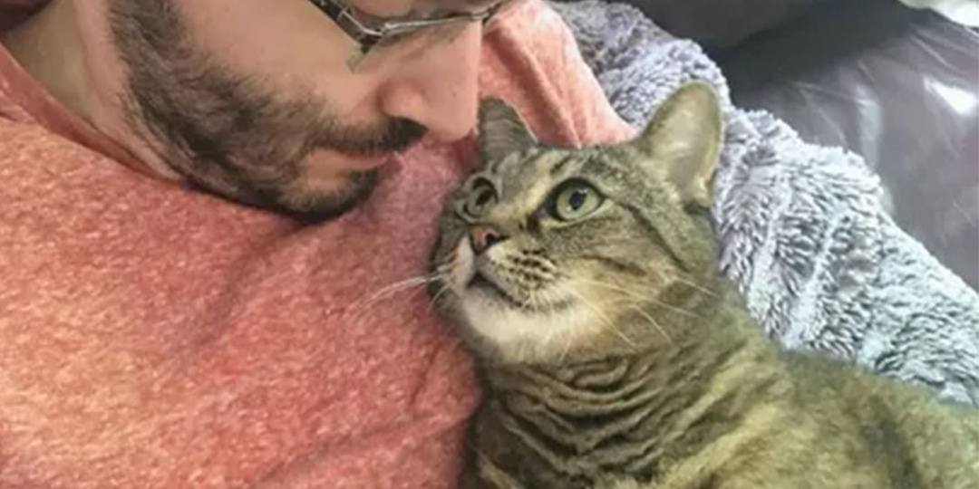 Понимает ли кот, что он также котенька, любимый котик и пирожочек сладкий