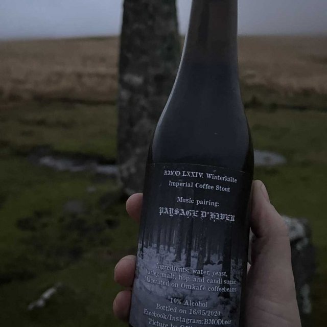 BMOD;официальное фото