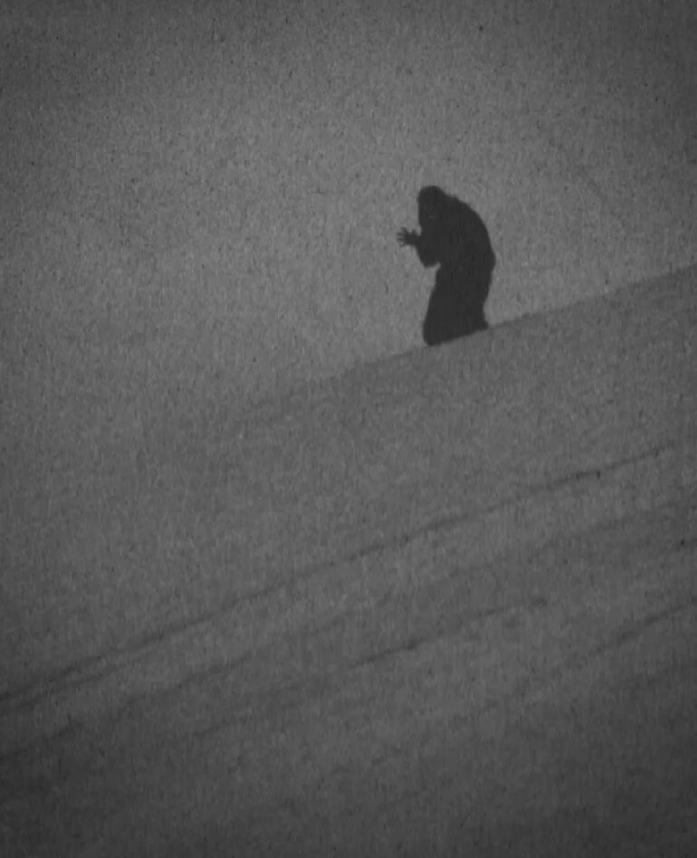 Официальное фото  Paysage d'Hiver