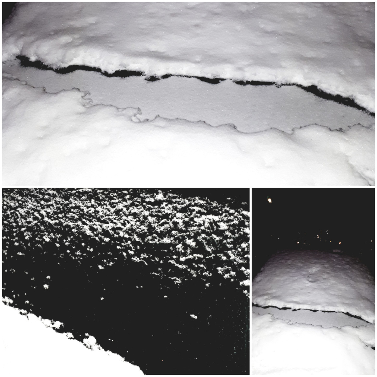 Коллаж автора 27.12.2025г.