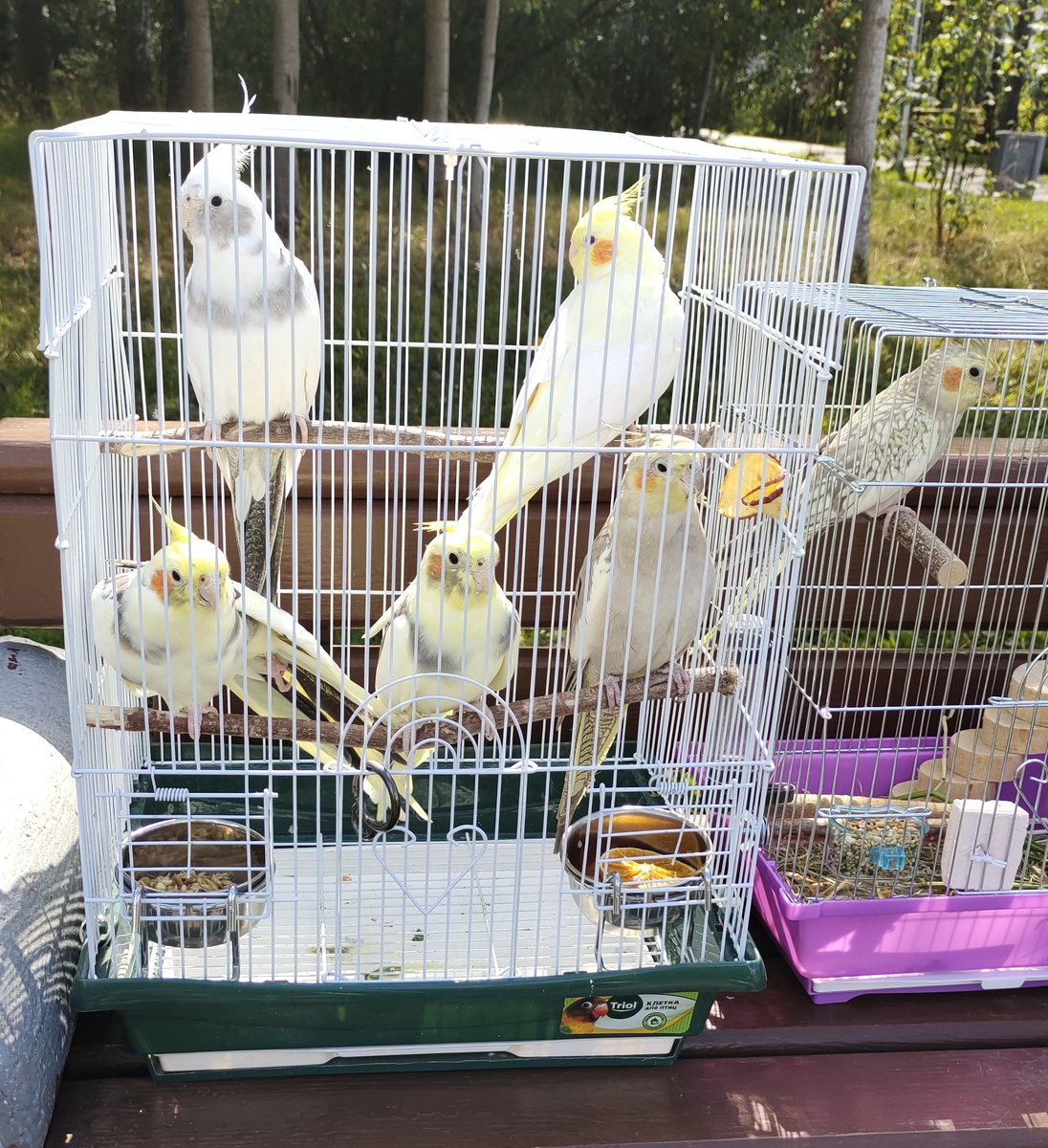 "А мы гуляем, мы крутые, ага..."