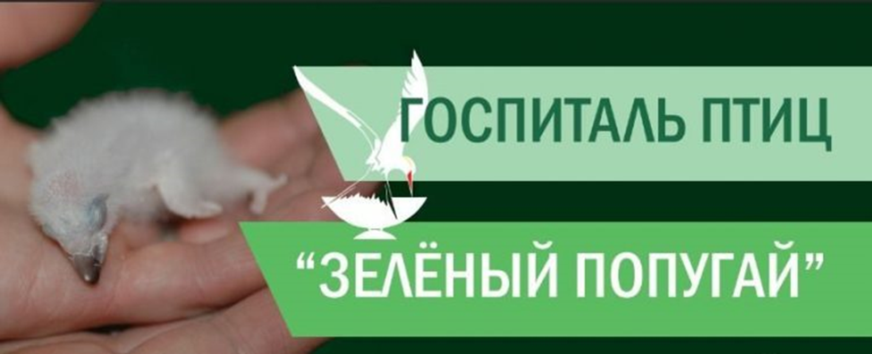 Фото с сайта клиники.