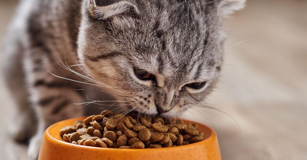 Фото Яндекс Картинки