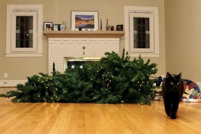 Источник фото: imgflip.com