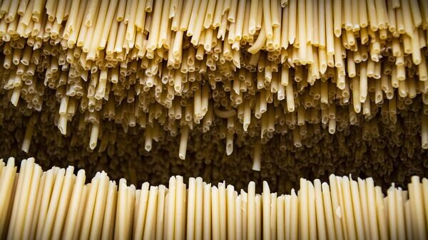    © Sputnik / Дмитрий Макеев