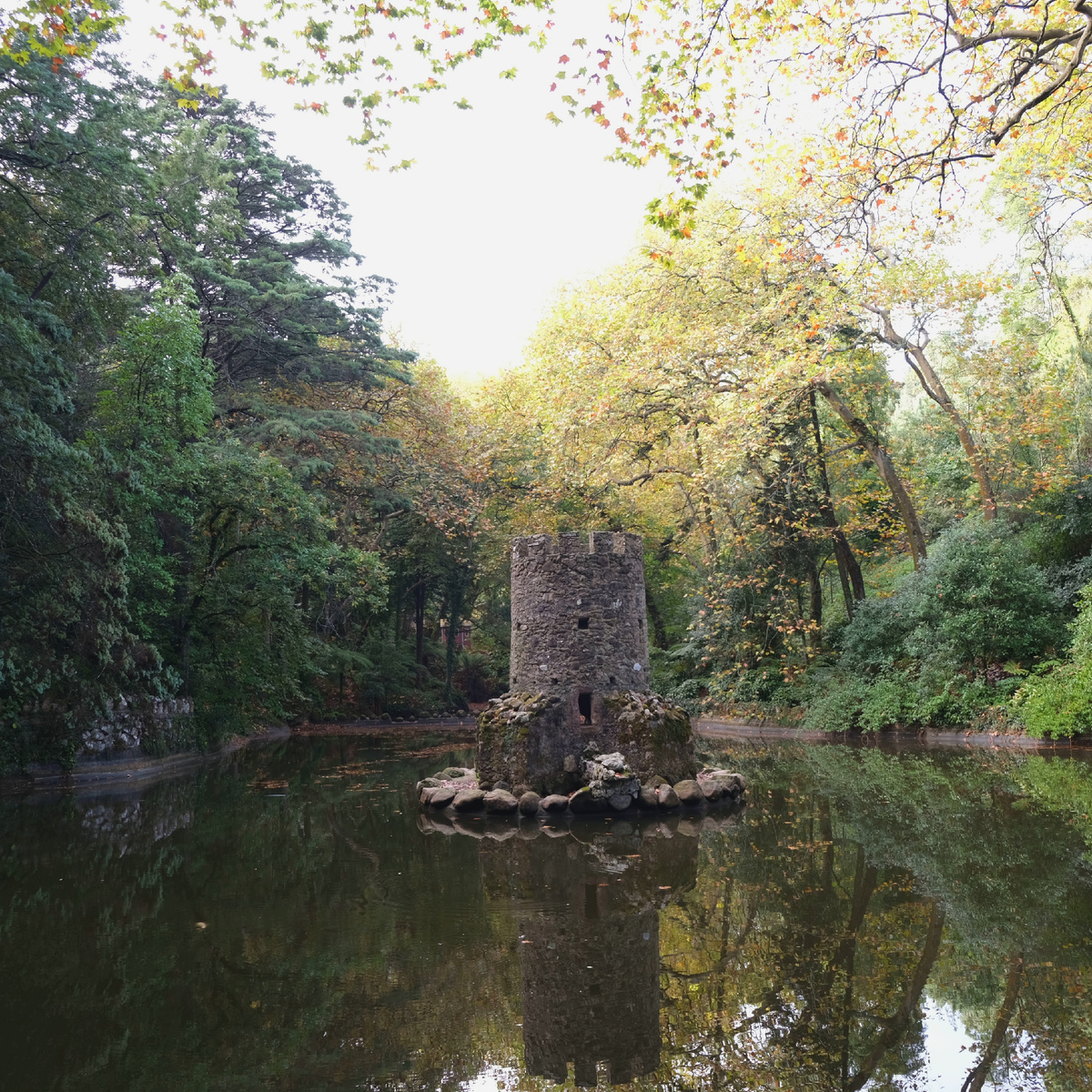 Домик для уток на озере