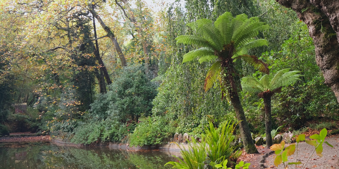 Осенняя прогулка по парку Пена в Синтре (Parque da Pena)