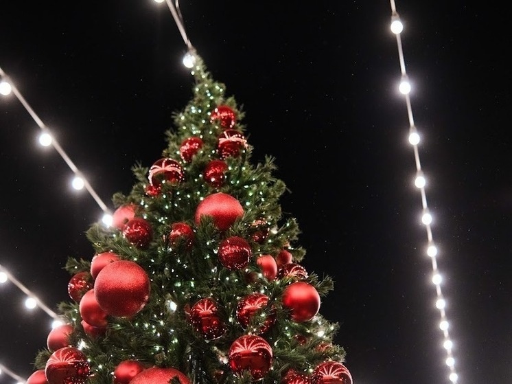     © Фото: ИД «Волгоградская правда» / архив.